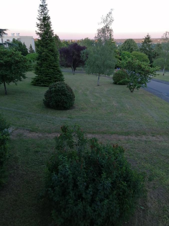 Appartement Pres De Beauval Et Des Chateaux Montrichard Exteriér fotografie
